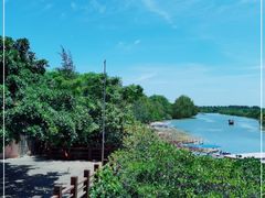 -东寨港红树林旅游区