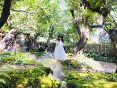 -Chom Cafe and Restaurant