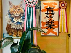 -猫十亿·布偶金渐层·曼基康矮脚猫舍(青年路店)