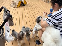 -正佳雨林生态植物园