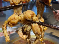 -铭记蛙小仙·活蛙畅享(CBD万达广场店)