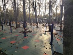 -森林公园(尖草坪区)