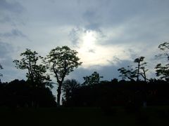 景点-三水森林公园