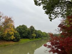 -上海海湾国家森林公园