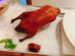 -四季民福烤鸭店(望京旺角店)