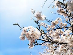-聂记粤菜馆(鼓西路店)