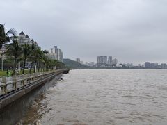 -观澳平台