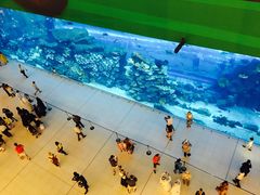 -迪拜水族馆及水下动物园