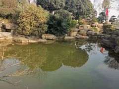 -铁山坪森林公园