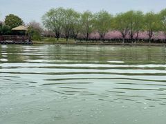 -苏州太湖国家湿地公园