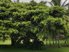 -三亚南山文化旅游区