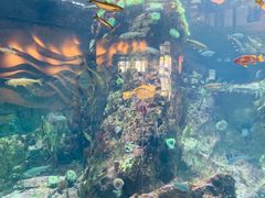 -西雅图水族馆