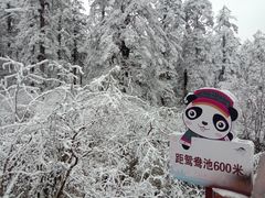 -瓦屋山景区