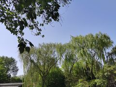 -济南大明湖景区