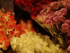 -循礼门鲜花花市(武汉循礼门店)