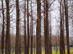 -上海山野camping·户外天幕烧烤·团建拓展营地