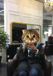 -变画·发型STUDIO