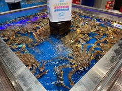 -盒马鲜生(龙德广场店)