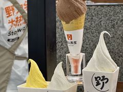 -野人先生Gelato(上海长宁龙之梦店)