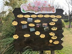 -田园东方蜜桃村的田野营地