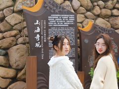 -枸杞岛