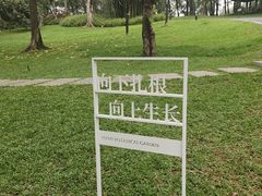-云溪植物园