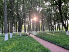 -黄鹤楼