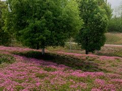 -白鹭湾湿地公园