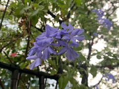 -缘生态云南菜·野生菌庭院餐厅(华侨城店)