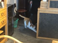 -韬光茶庵