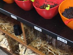 -果松木炭酸菜铜火锅·外婆参鸡汤