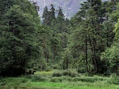 -海螺沟风景区