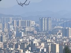 -风云岭森林公园