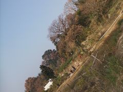 -塔川景区