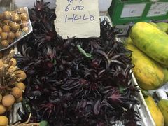 -沙巴希迪特酒店