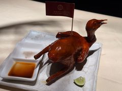 -侨美食家·粤菜(体育西路店)