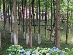 -武汉园博园(武汉自然博物馆)