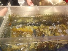 -鑫釜山海鲜烧烤(鑫丰国际店)