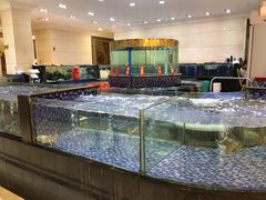 水产区-龙悦湾酒家·八阵鱼生·渔人码头店