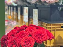 -鹿岛生活(熙地港店)