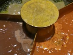 -巴奴毛肚火锅(九洲店)