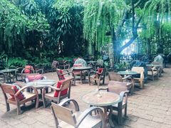 -Fern Forest Cafe