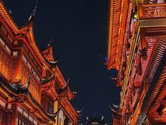 -沈大成(城隍庙店)