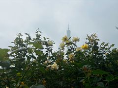 -海心沙亚运公园