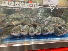 -盒马X会员店(王府井奥莱UP TOWN店)