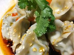 红油京川饺-岭南真味·匠心粤菜(K11店)