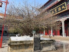 -章华寺