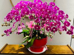 -老人和饭店(淮海中路店)