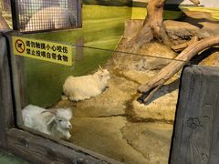 -苏州海洋馆