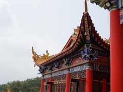 -东莞市大岭山森林公园